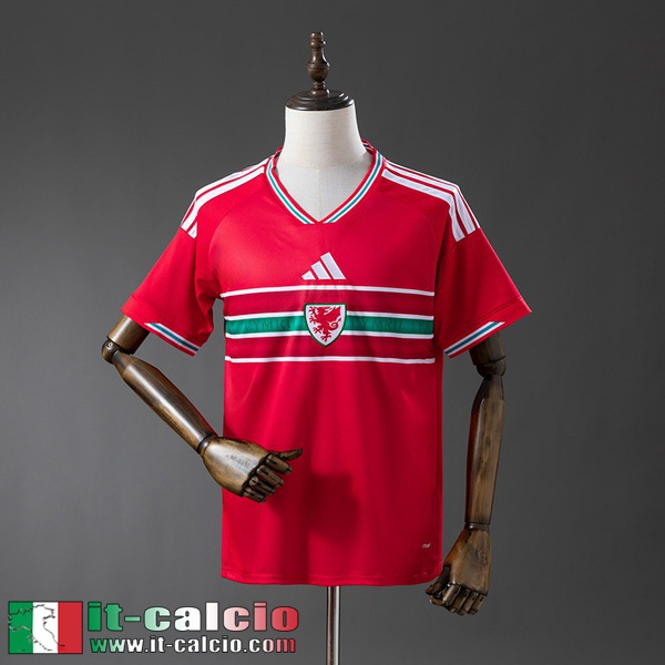 Maglie Calcio Galles Prima Uomo 2026