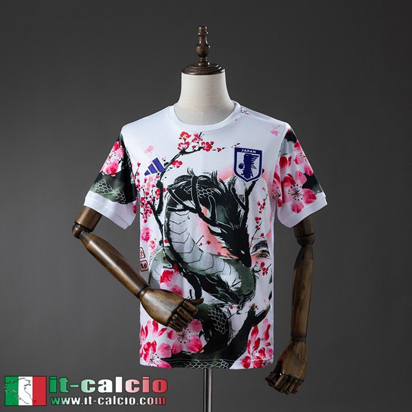 magliette a maniche corte Giappone Uomo 25 26 H760