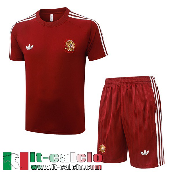 Magliette a maniche corte Spagna Uomo 26 27 H1036